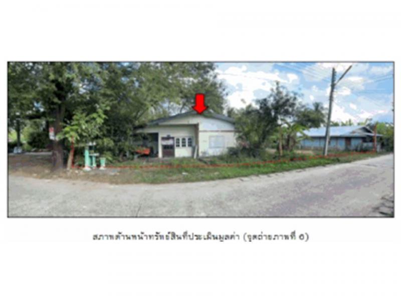 บ้านปรือ กระสัง บุรีรัมย์