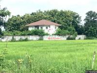 ขายบ้านเดี่ยว สองห้อง เมืองบุรีรัมย์ บุรีรัมย์ ขนาด 2-1-62.00 ของ ธนาคารกสิกรไทย